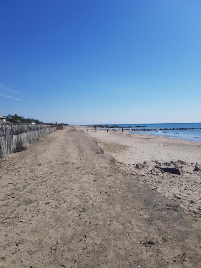 La Rose Des Sables, T2 A La Mer, Terrasse Et Garage Frontignan Eksteriør billede