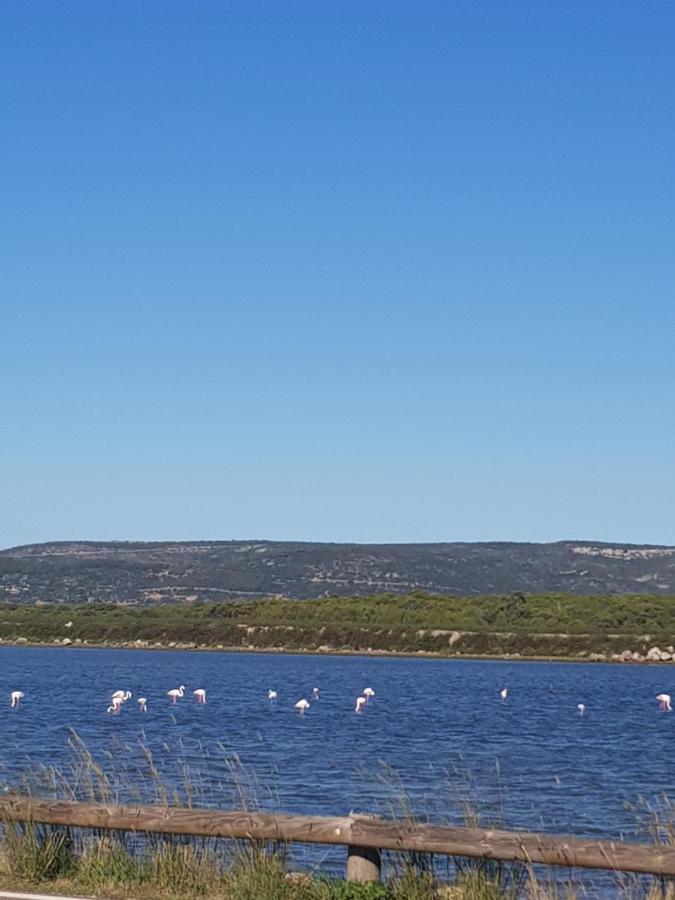 La Rose Des Sables, T2 A La Mer, Terrasse Et Garage Frontignan Eksteriør billede
