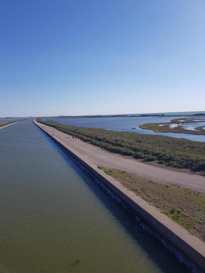 La Rose Des Sables, T2 A La Mer, Terrasse Et Garage Frontignan Eksteriør billede