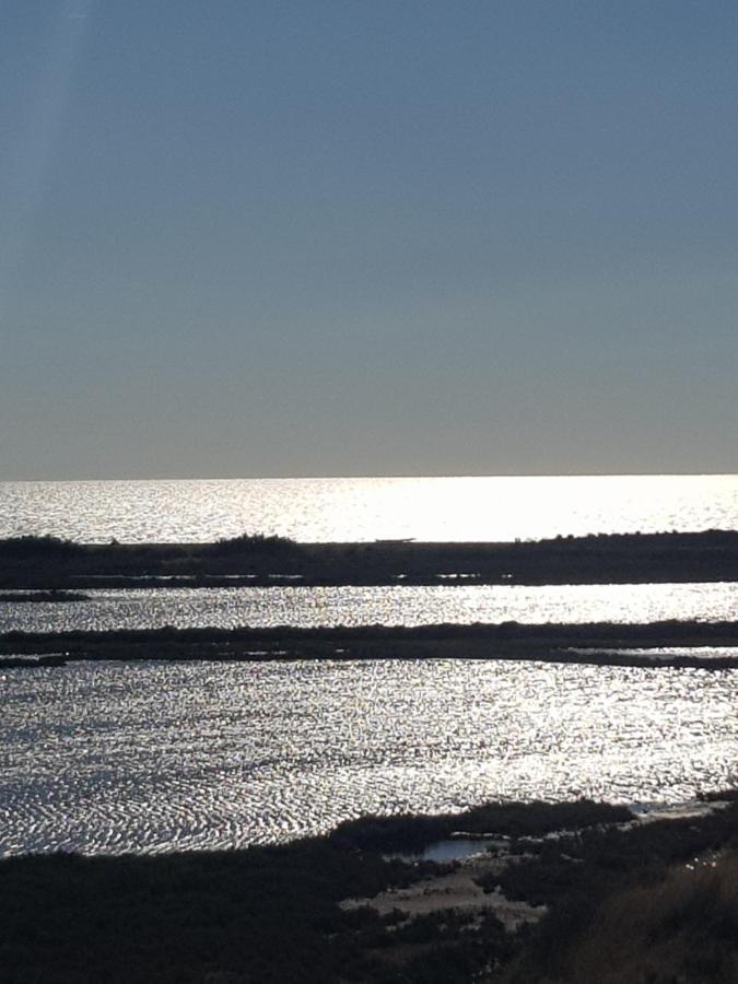 La Rose Des Sables, T2 A La Mer, Terrasse Et Garage Frontignan Eksteriør billede