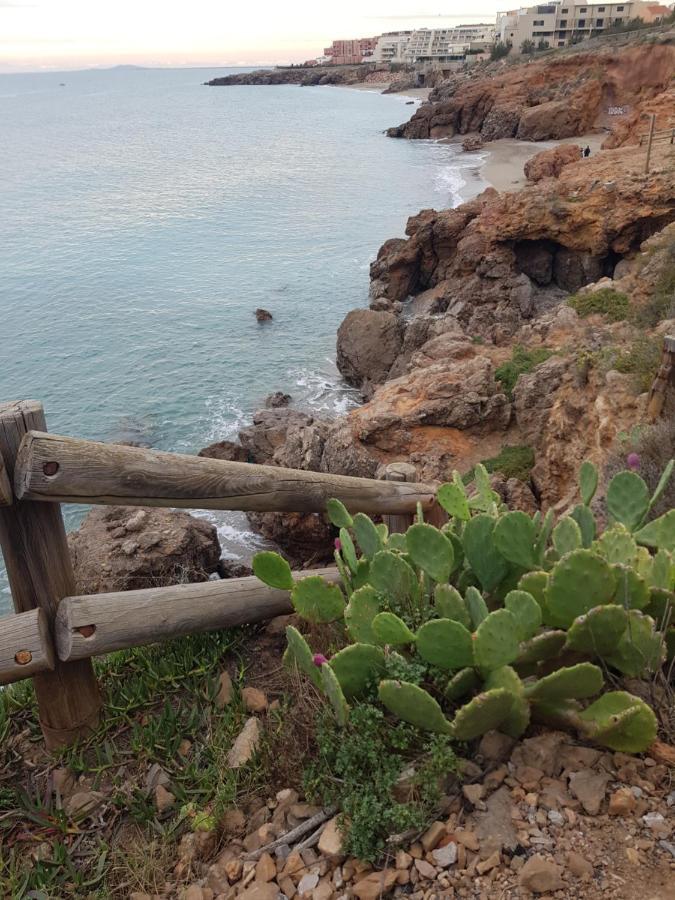 La Rose Des Sables, T2 A La Mer, Terrasse Et Garage Frontignan Eksteriør billede